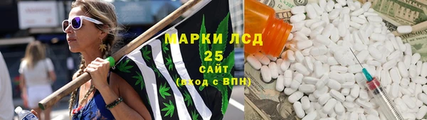 прущий лед Алзамай