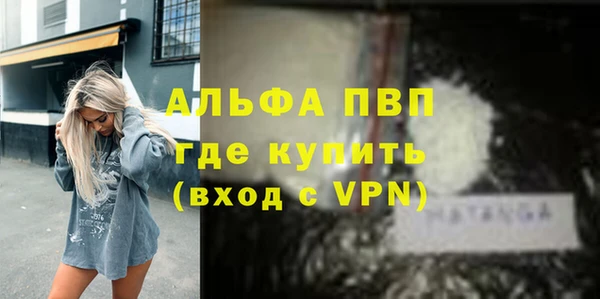 прущий лед Алзамай