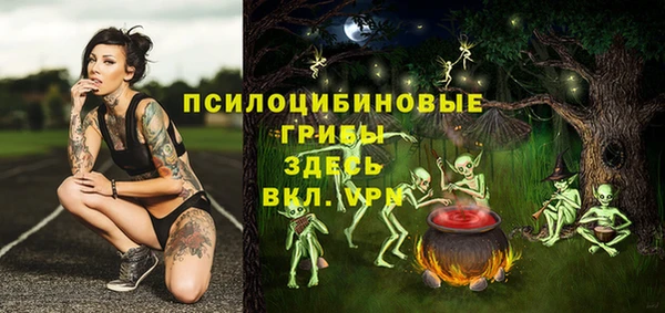 прущий лед Алзамай