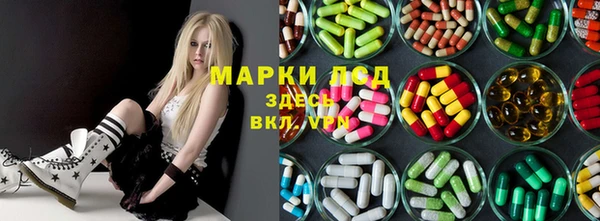прущий лед Алзамай