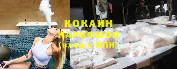 прущий лед Алзамай