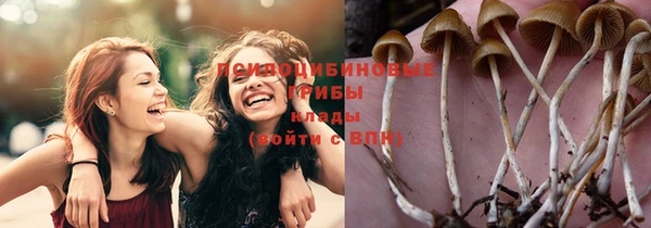 mix Алексеевка