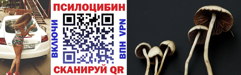 купить   Заволжье  Галлюциногенные грибы Psilocybine cubensis 
